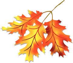 Fall Pot Luck Luncheon -OCTOBER 16, 2024 @ Royal Canadian Legion | Waterford | Ontario | Canada